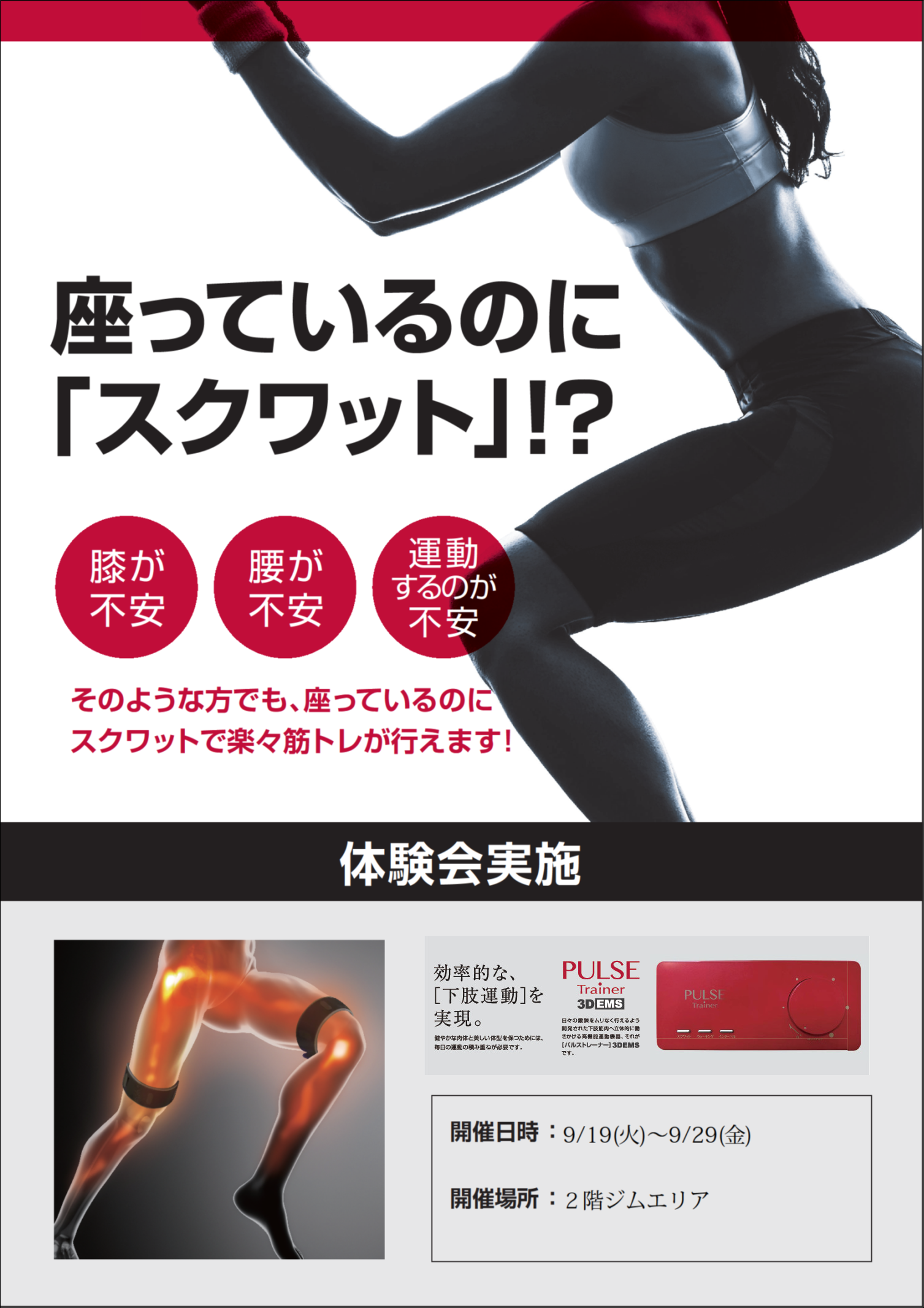 PULSE trainer パルストレーナー PT-Ⅱ 新品未使用 新品】ホーマー