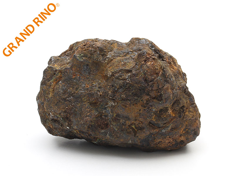 GRAND RINO / 【隕石】パラサイト隕石 (SERICHO)(セリコ) 原石 (証明