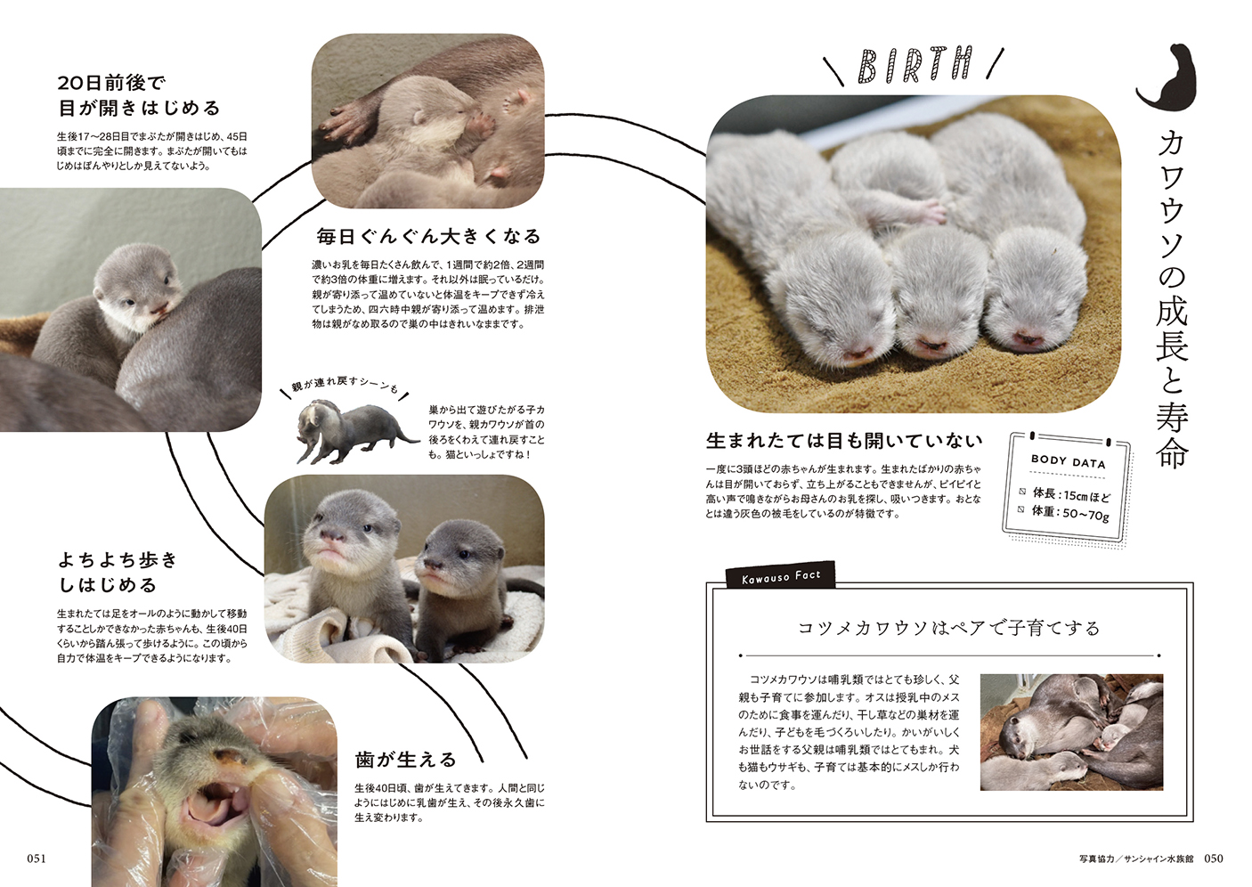 グラフィック社