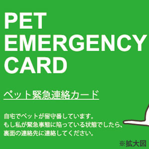 エマージェンシーカード CZGDEMC1-00 | ソノタゲンセン | GREEN DOG