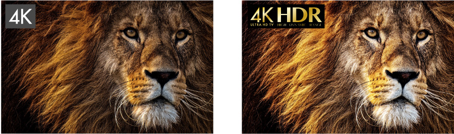 spot | GH-TV50BG-BK | GREEN HOUSE グリーンハウス