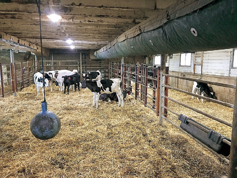 FLAP DUCT® フラップダクト | GREEN LIGHT｜菱中産業株式会社