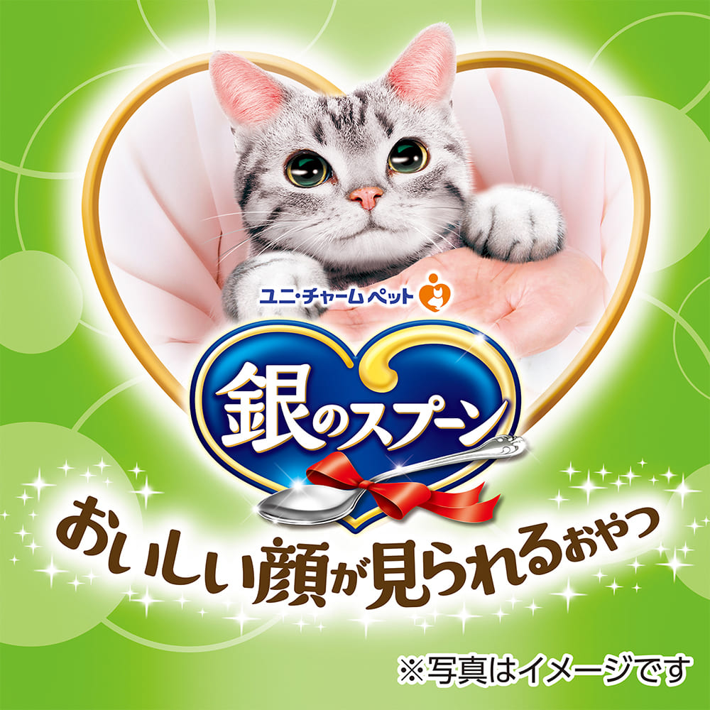 銀のスプーンおいしい顔が見られるおやつしっとりシーフード50g×3袋