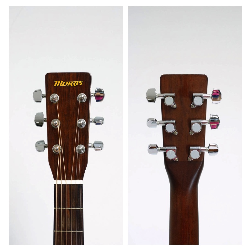 Morris 【MD256TS / アコースティックギター / モーリス】 | D-plus-stock