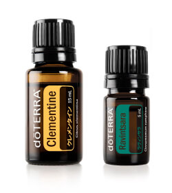 ジャパン コネクション グッズセット販売開始（9月24日より