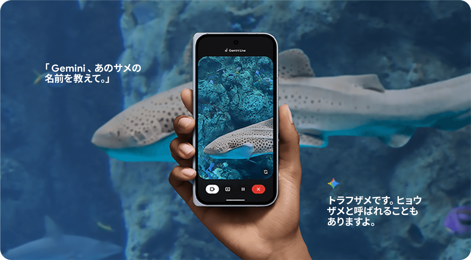 Google Pixel 10 Pro Fold | Android スマートフォン | 製品 | NTTドコモ