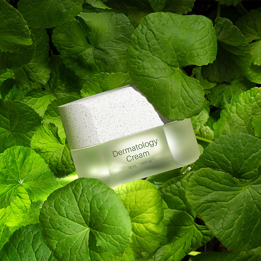 INCELLDERM Dermatology Cream 50ml | DODO SKIN – DODOSKIN