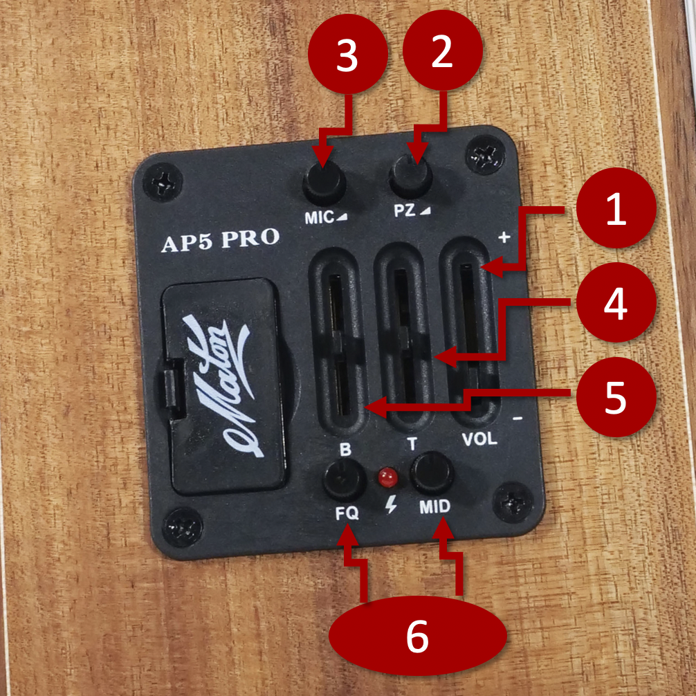 ドルフィンギターズ アコースティックギター・ウクレレ販売