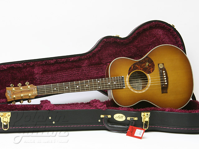 MATON EMD-6 (Mini Maton Diesel Special)|ドルフィンギターズ