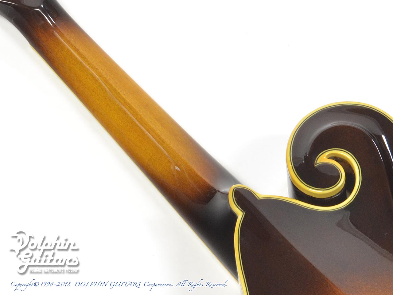 BLUE BELL F-10|ドルフィンギターズ