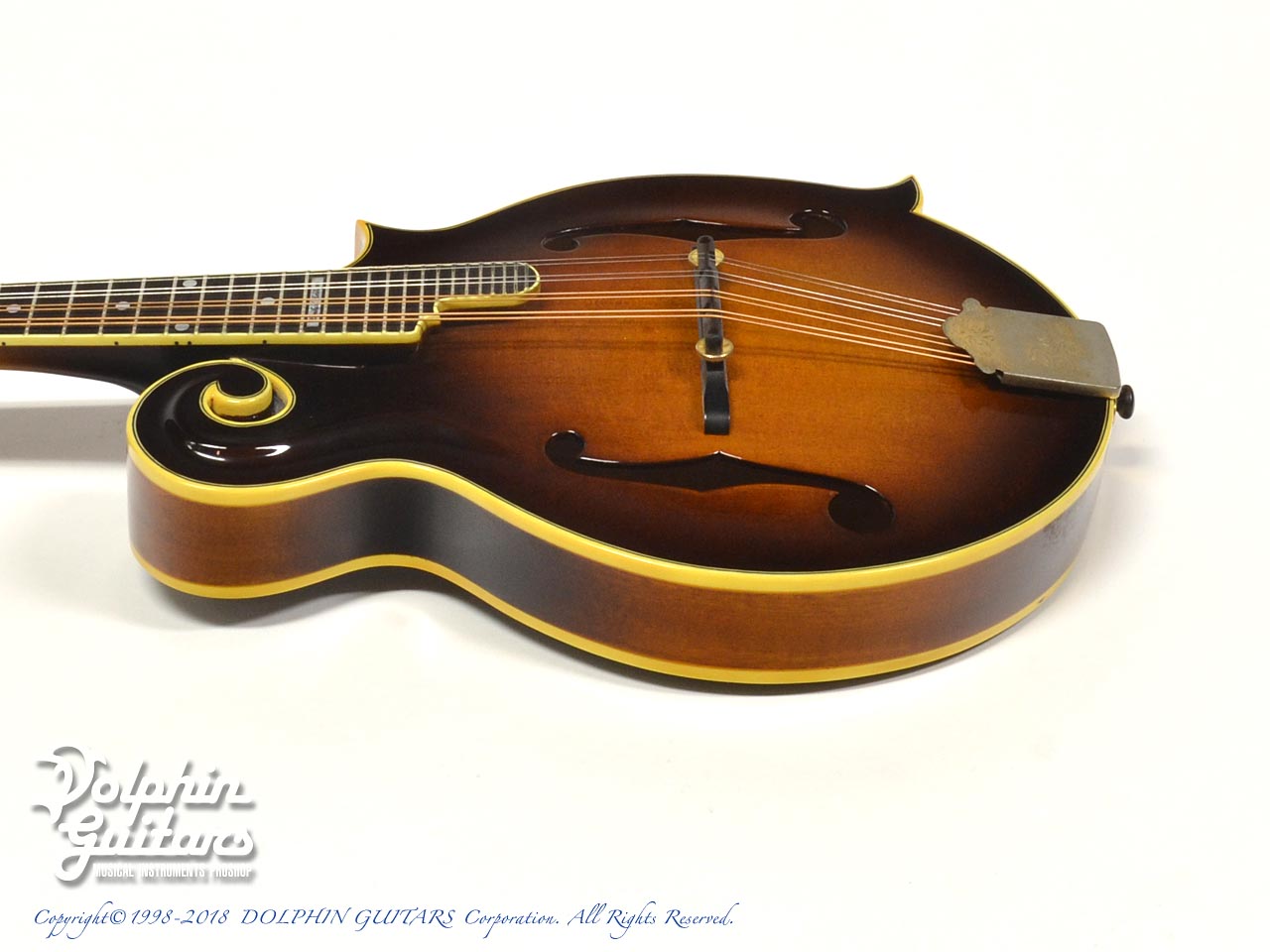 BLUE BELL F-10|ドルフィンギターズ