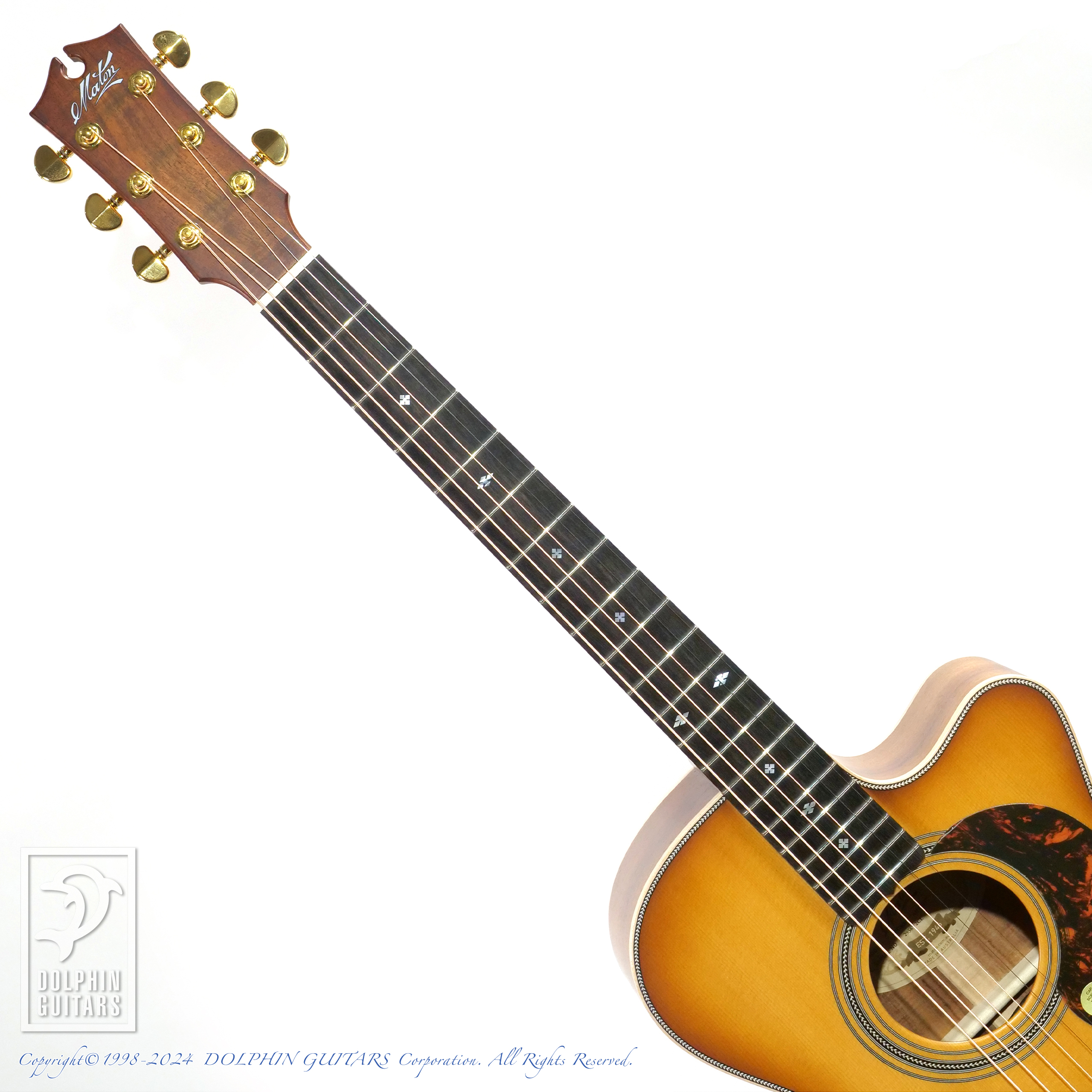 MATON EBG808C Artist 2024 Limited Model (Light Brown Sunburst