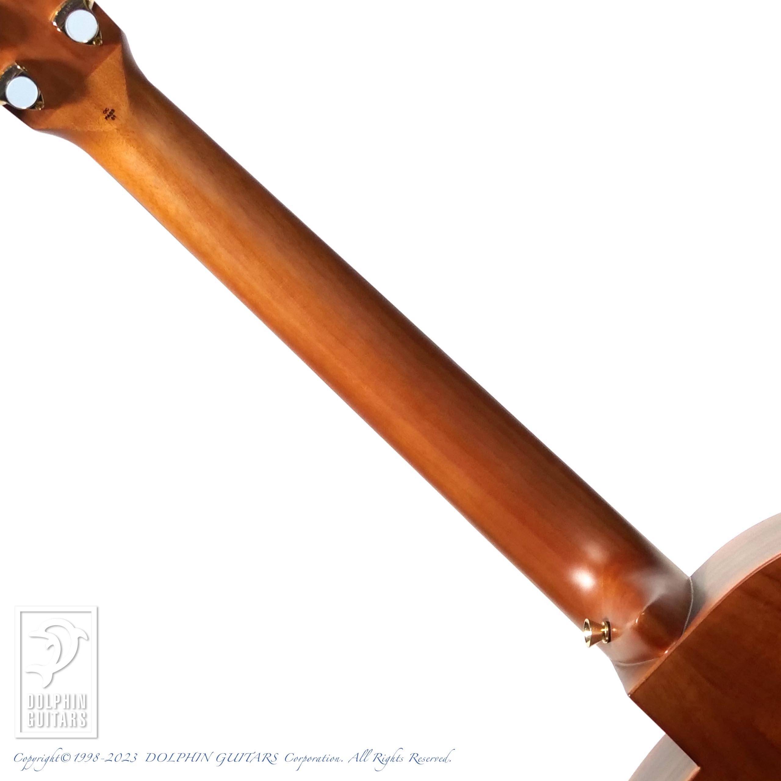 aNueNue aNN-M30 (All Acacia body)|ドルフィンギターズ