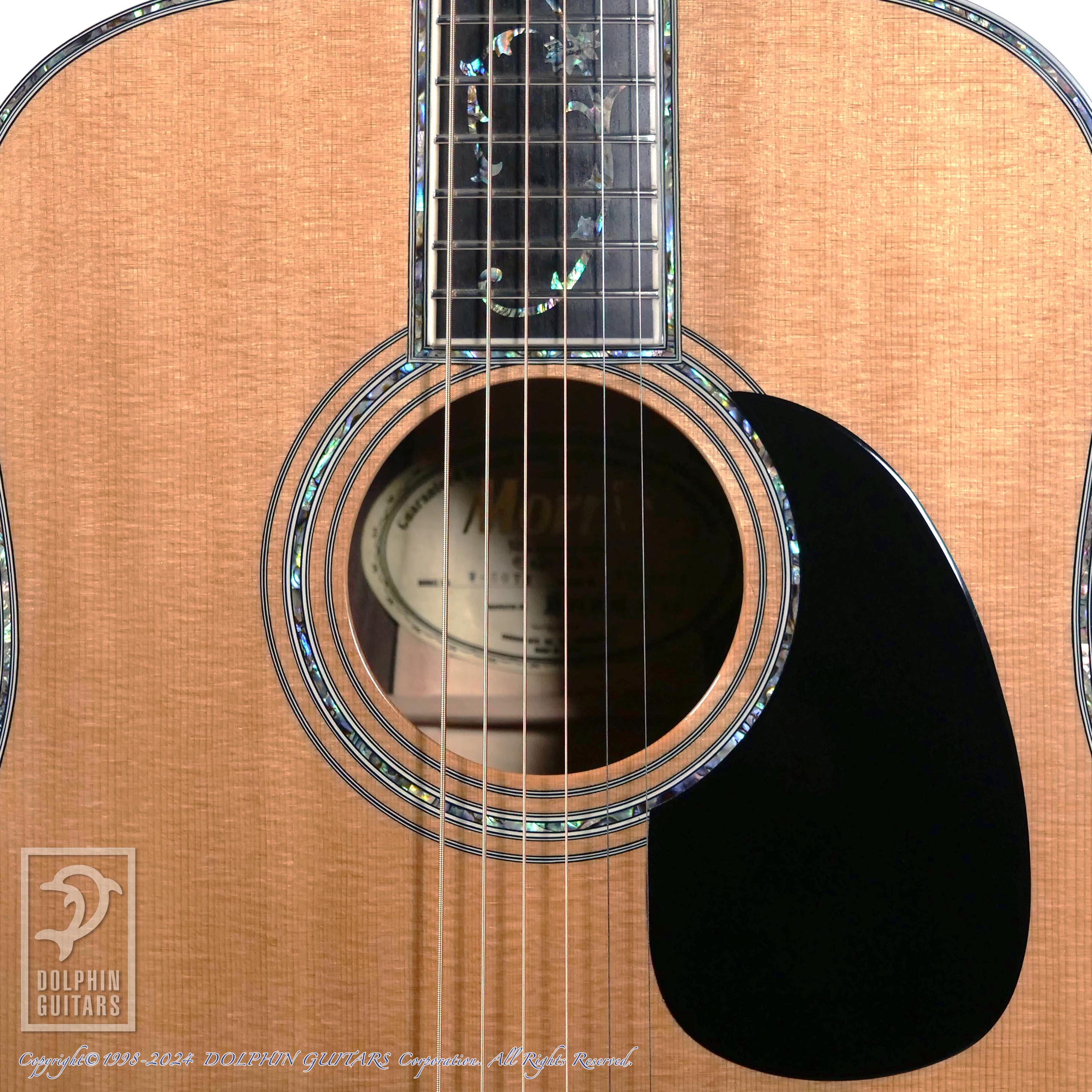 MORRIS W-50th Limited Edition|ドルフィンギターズ