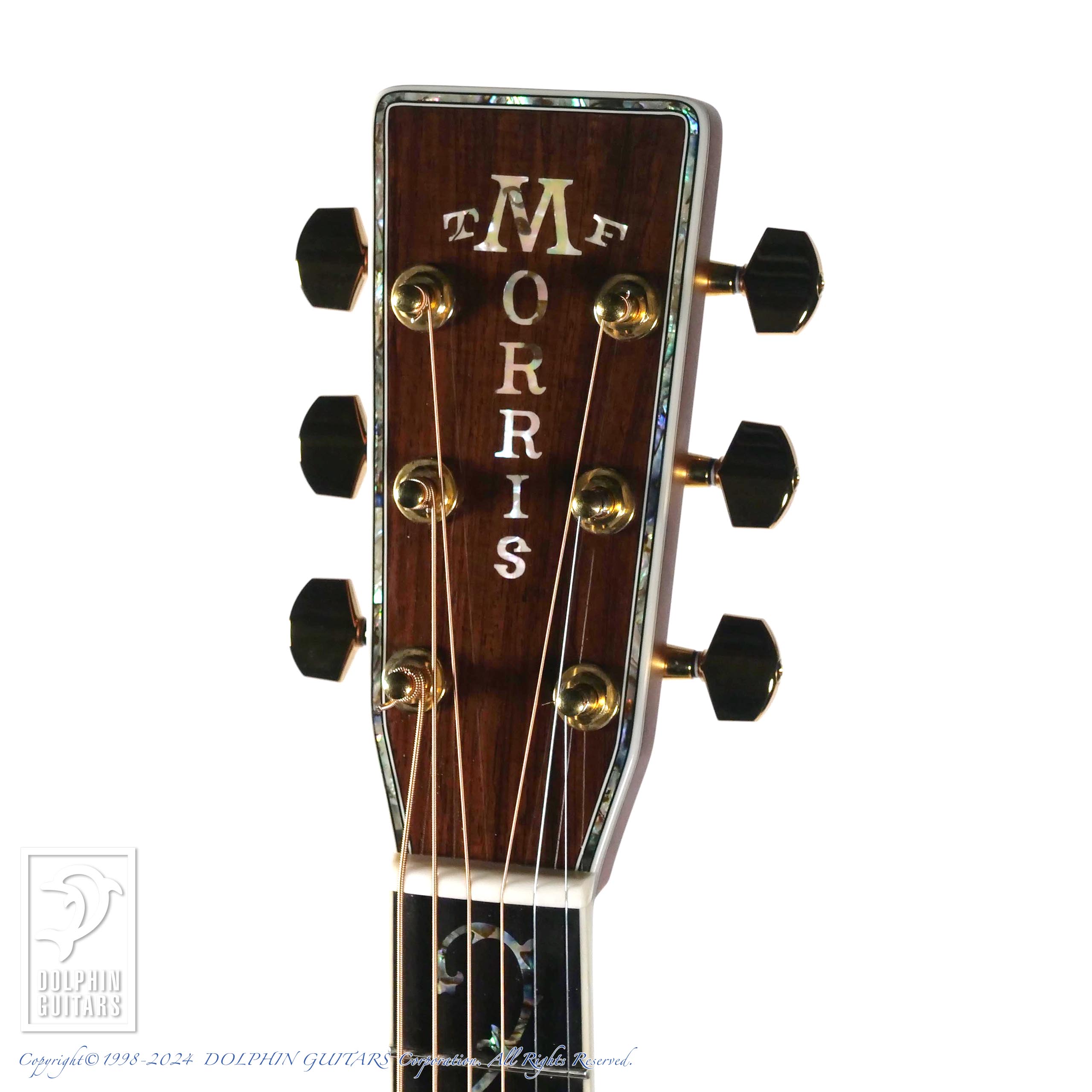 MORRIS W-50th Limited Edition|ドルフィンギターズ