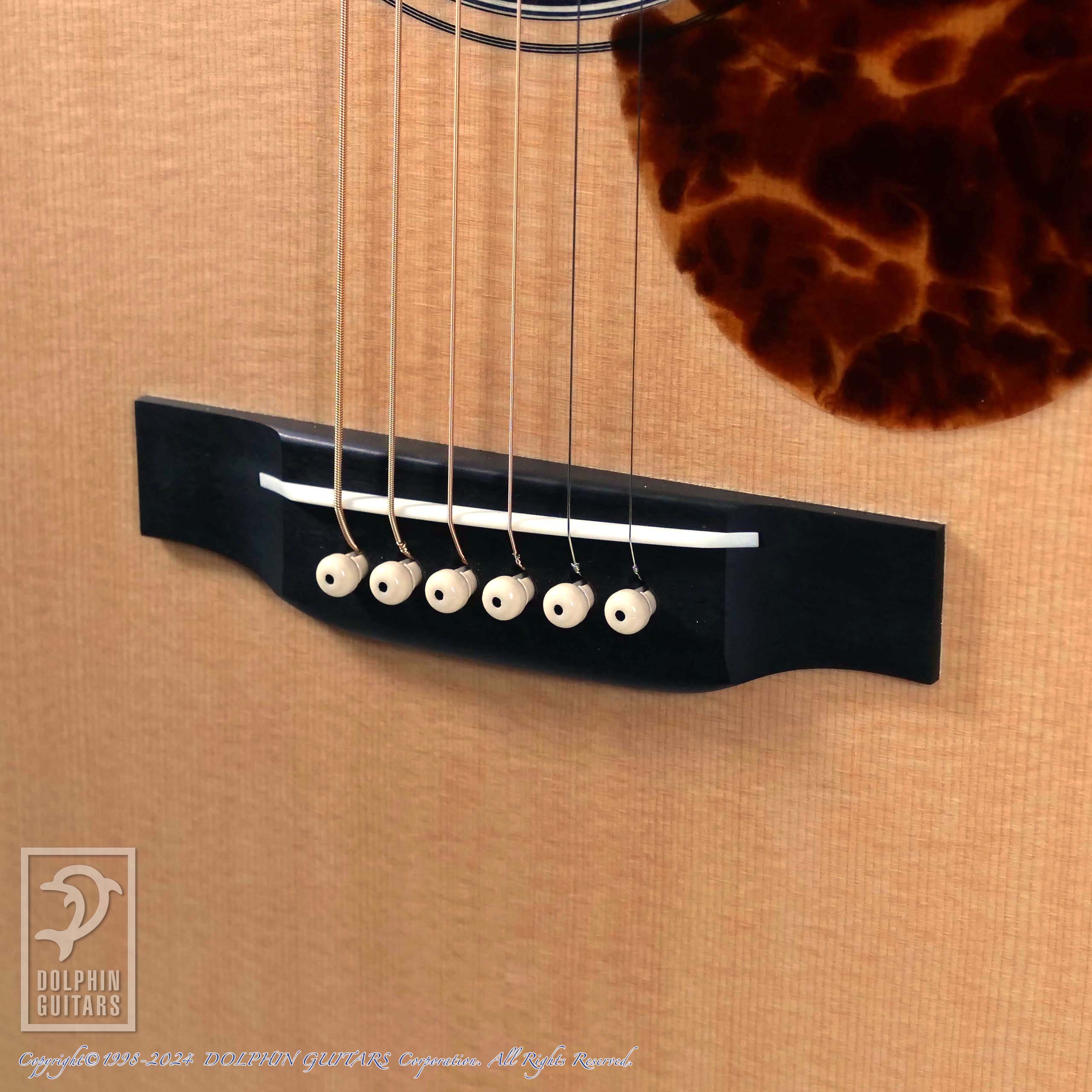 ASTURIAS TRAD OM CW 10th Anniversary|ドルフィンギターズ