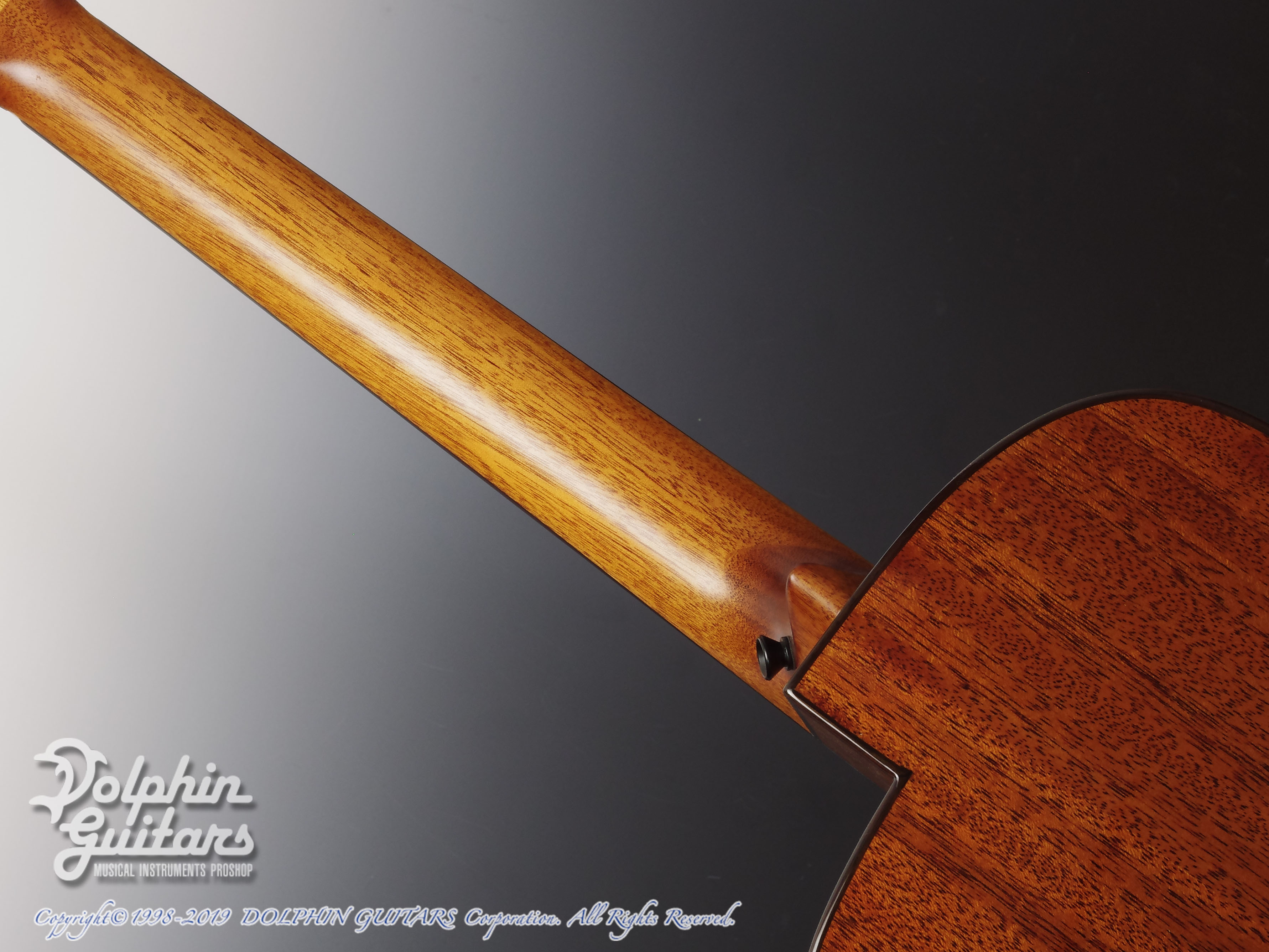 aNueNue Bird aNN-M12|ドルフィンギターズ