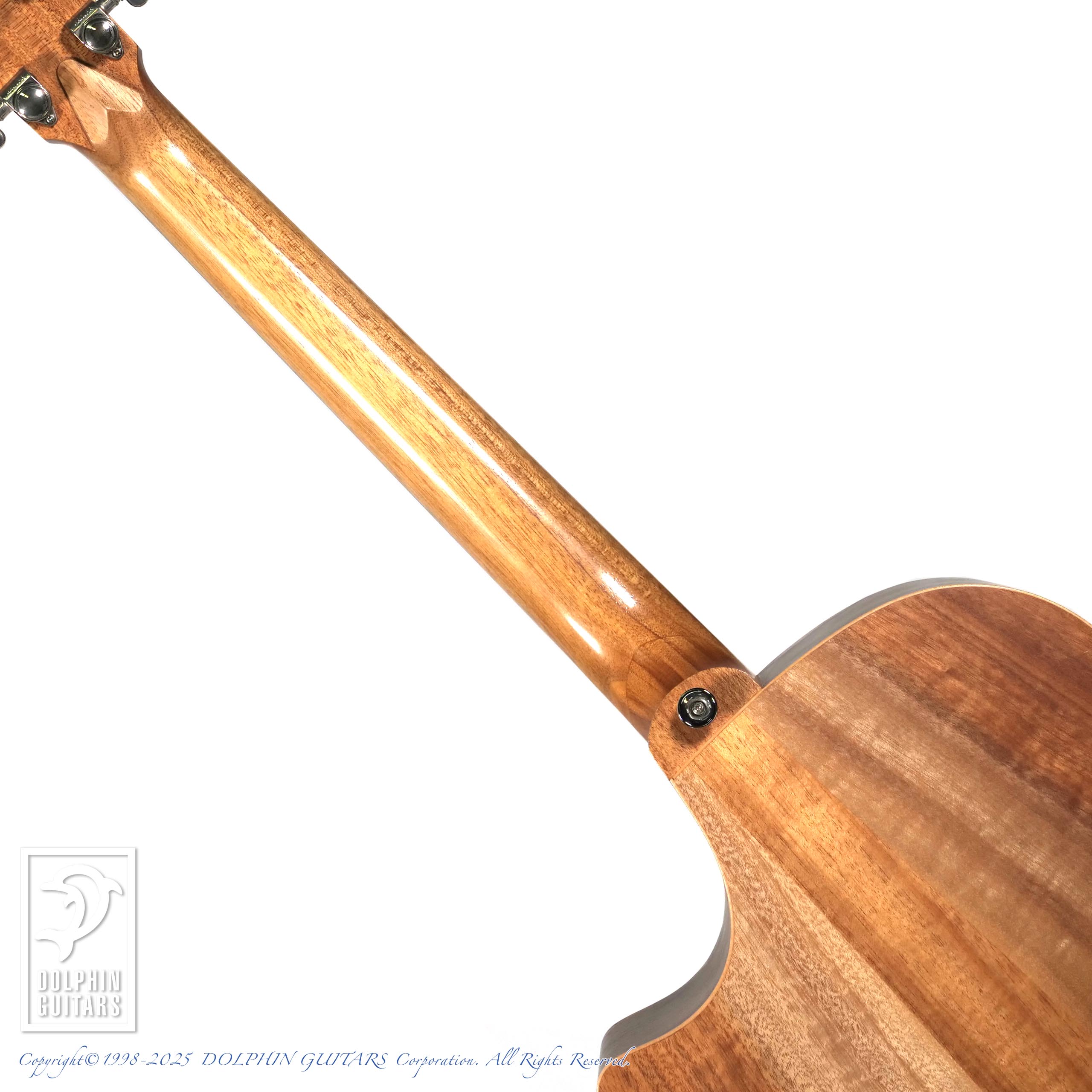 COLE CLARK AN2AC|ドルフィンギターズ