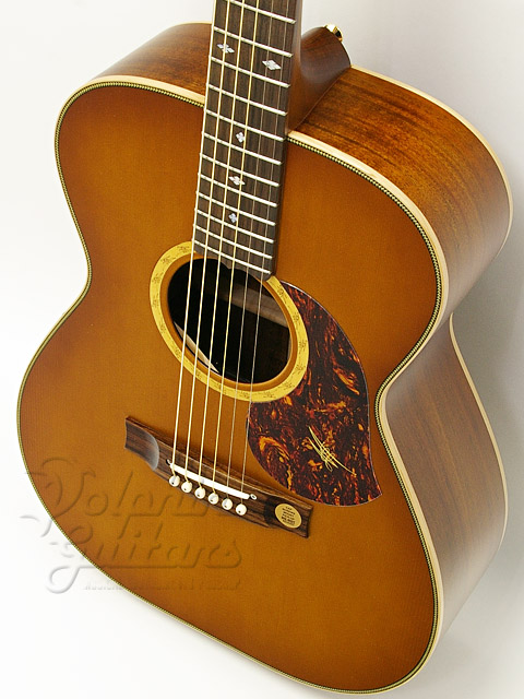 Maton EBG808MH 秦 基博シグネチャーモデル！|ドルフィンギターズ