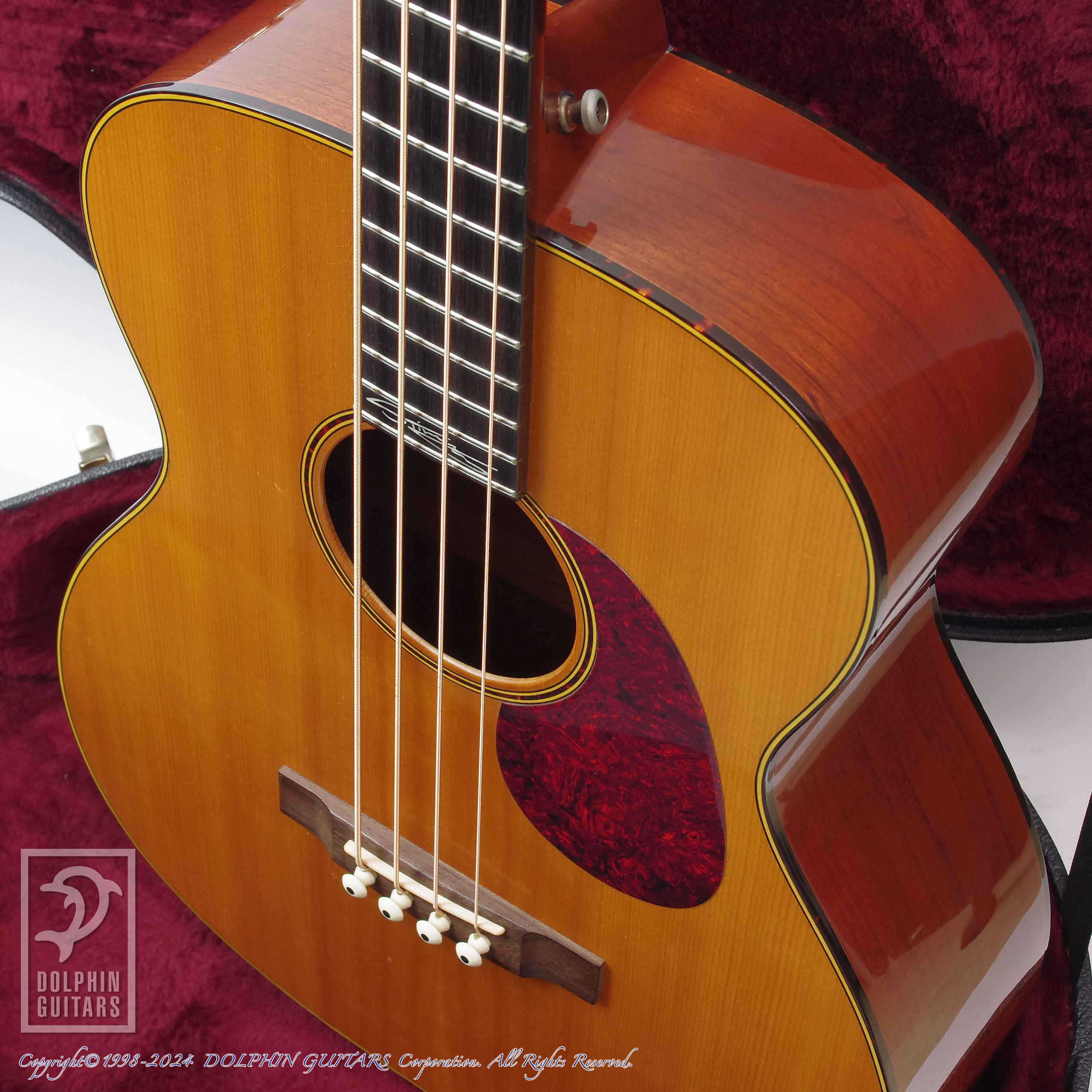 C.F.Martin:Sting SWB (Sting Signature)