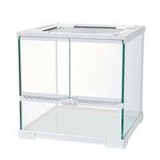 PT2604 グラステラリウム6030 ExoTerra 爬虫類