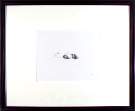 野田弘志 木の実（鉛筆デッサン）