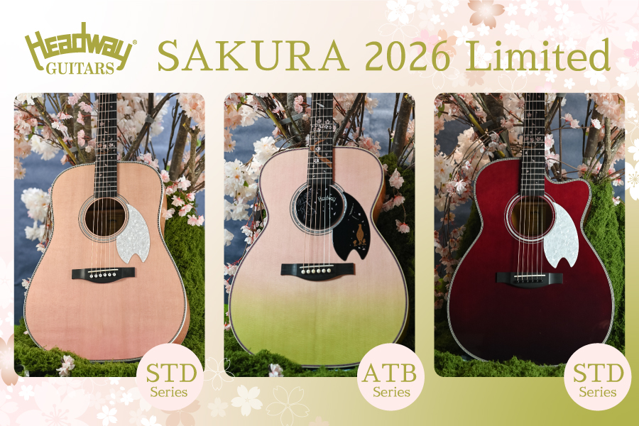 Headway Guitars | Deviser ｜株式会社ディバイザー｜長野県松本市の