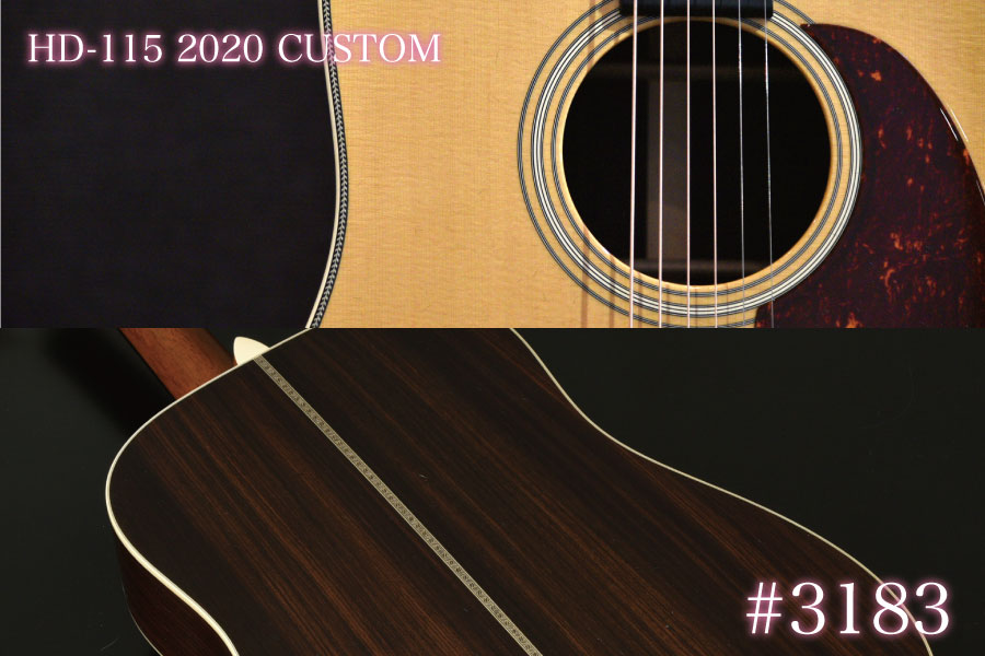 Rider R-500D Martin D-45風 Headway Momose Rider R-500D Martin D-45