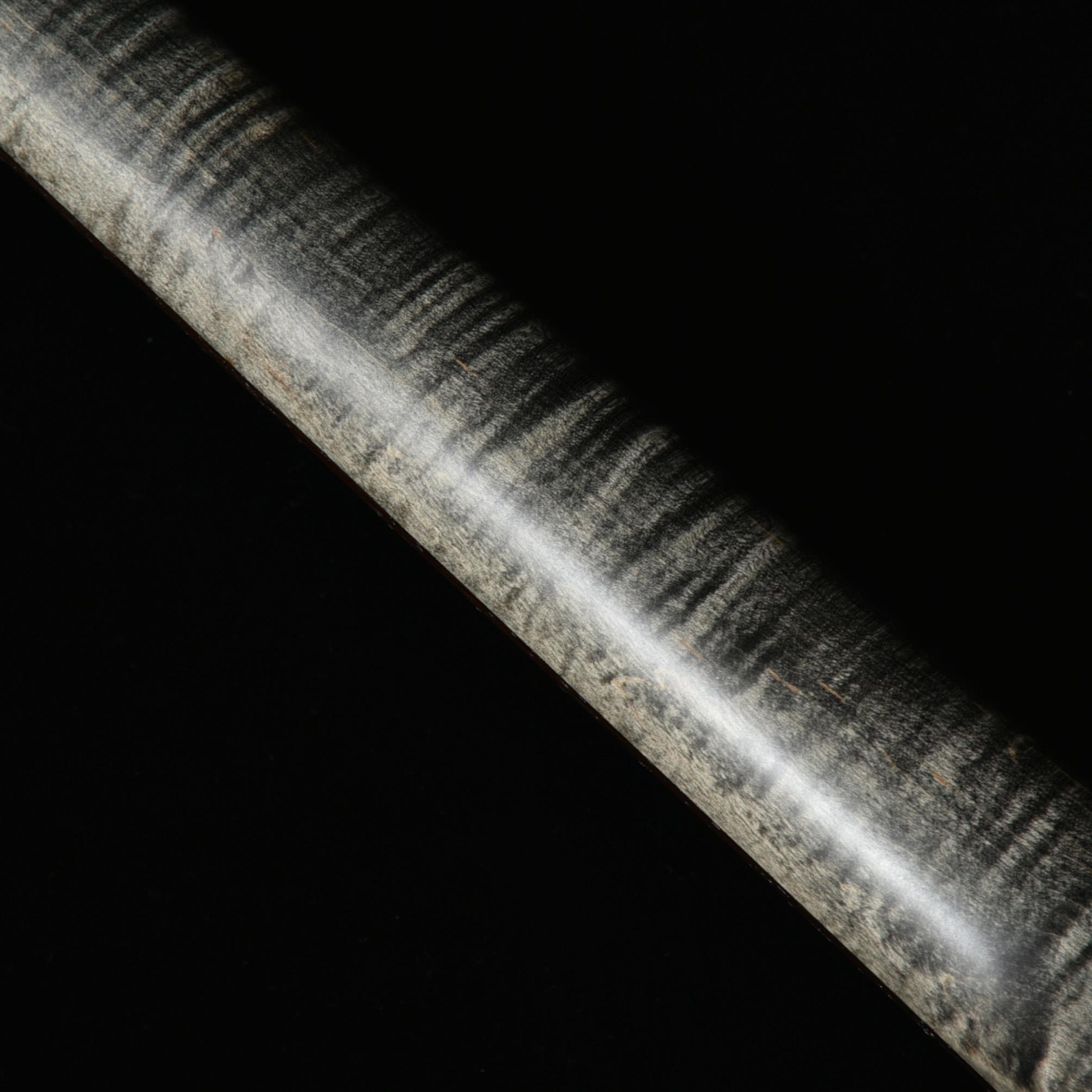 MT24-MV-EXOTIC CAMPHOR WSE'23/WG | Deviser ｜株式会社ディバイザー