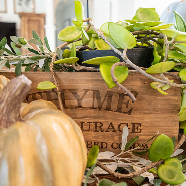 Natural Herb Buckets, Set of 4 - Decor Steals