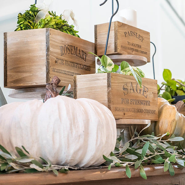 Natural Herb Buckets, Set of 4 - Decor Steals