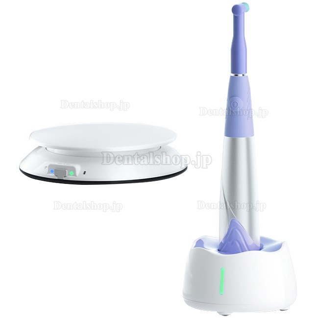 Woodpecker i-Polish 歯科研磨用ハンドピース|歯面清掃用ハンドピース