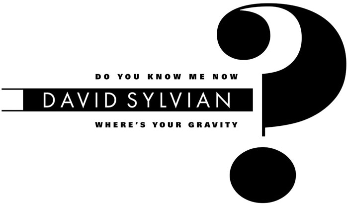 Do You Know Me Now? - David Sylvian : Expect Everything And