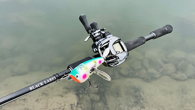 ダイワ ブラックレーベルトラベル C66M-5 | 実釣インプレ - 俺のバス