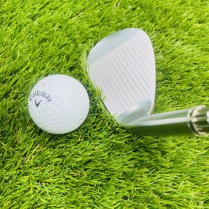 ムジーク ディープ マッスル2 FORGED ウェッジ】優しいウェッジの仲間