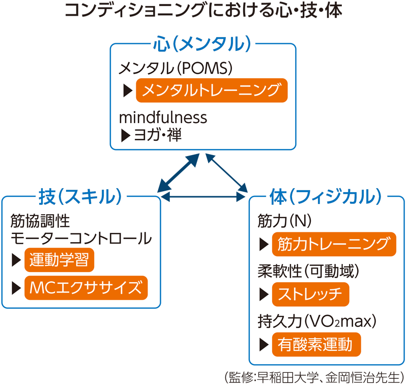 自分で行う筋肉・関節のコンディショニングの方法｜セルフケアお役立ち
