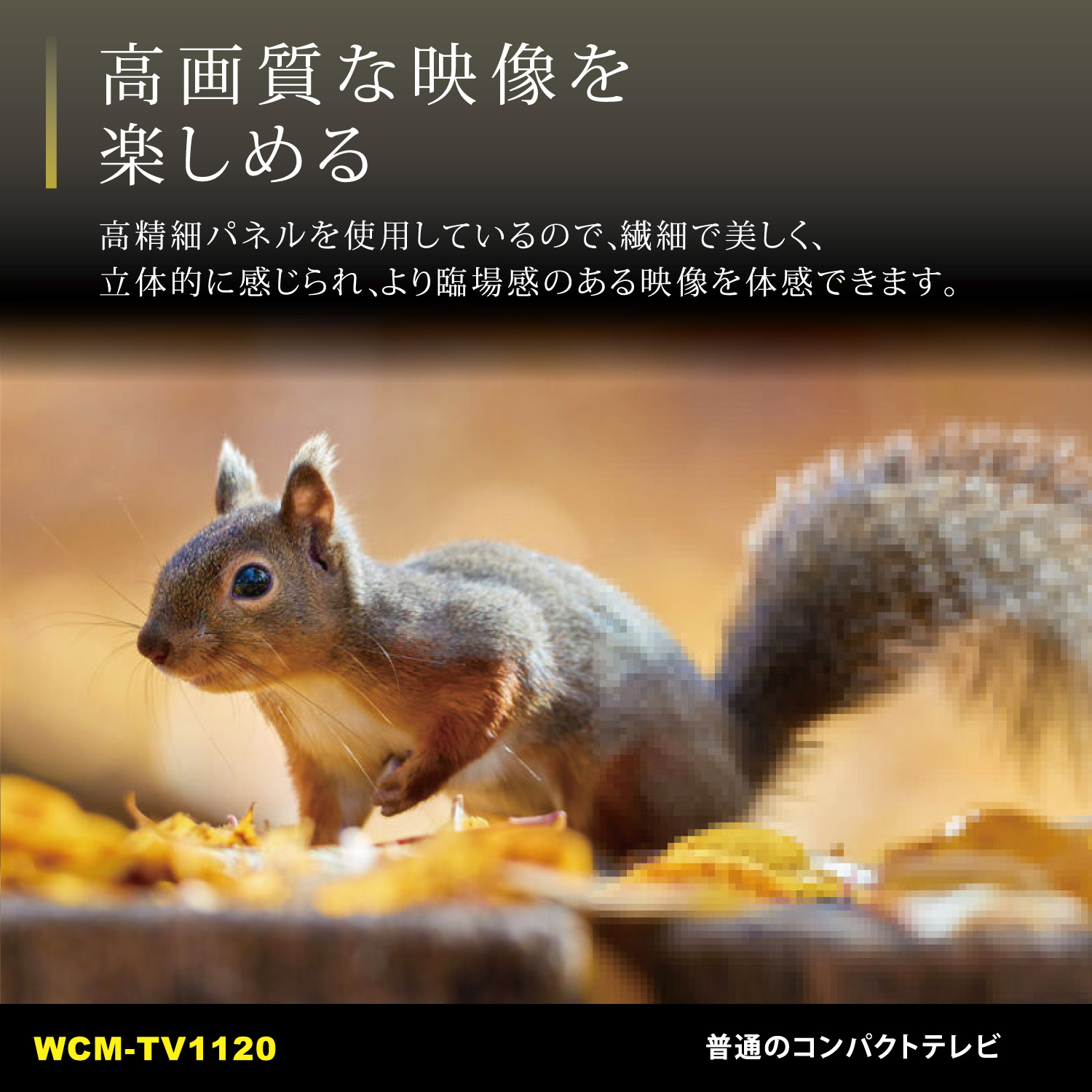 WCM-TV1120 | 11.6インチコンパクトテレビ