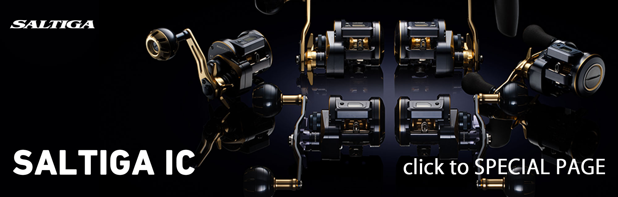 ソルティガ IC(リール)｜DAIWA