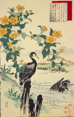 幸野楳嶺の花鳥画譜 | NDLイメージバンク | 電子展示会