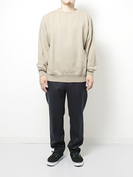 BACK WOOL SWEAT BIG P/O (A7AP01BW) | DIVERSE / カットソー (MEN