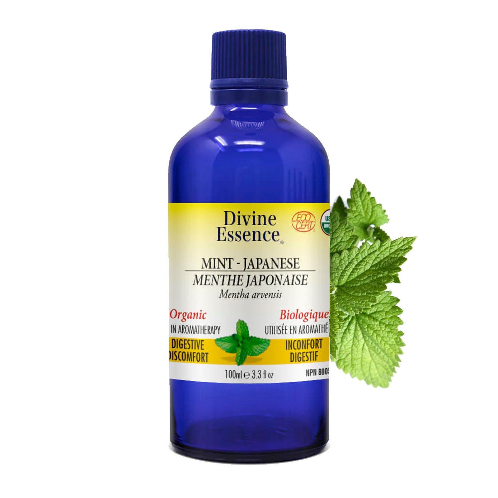 Mint Japanese (Cornmint) Organic – Divine Essence