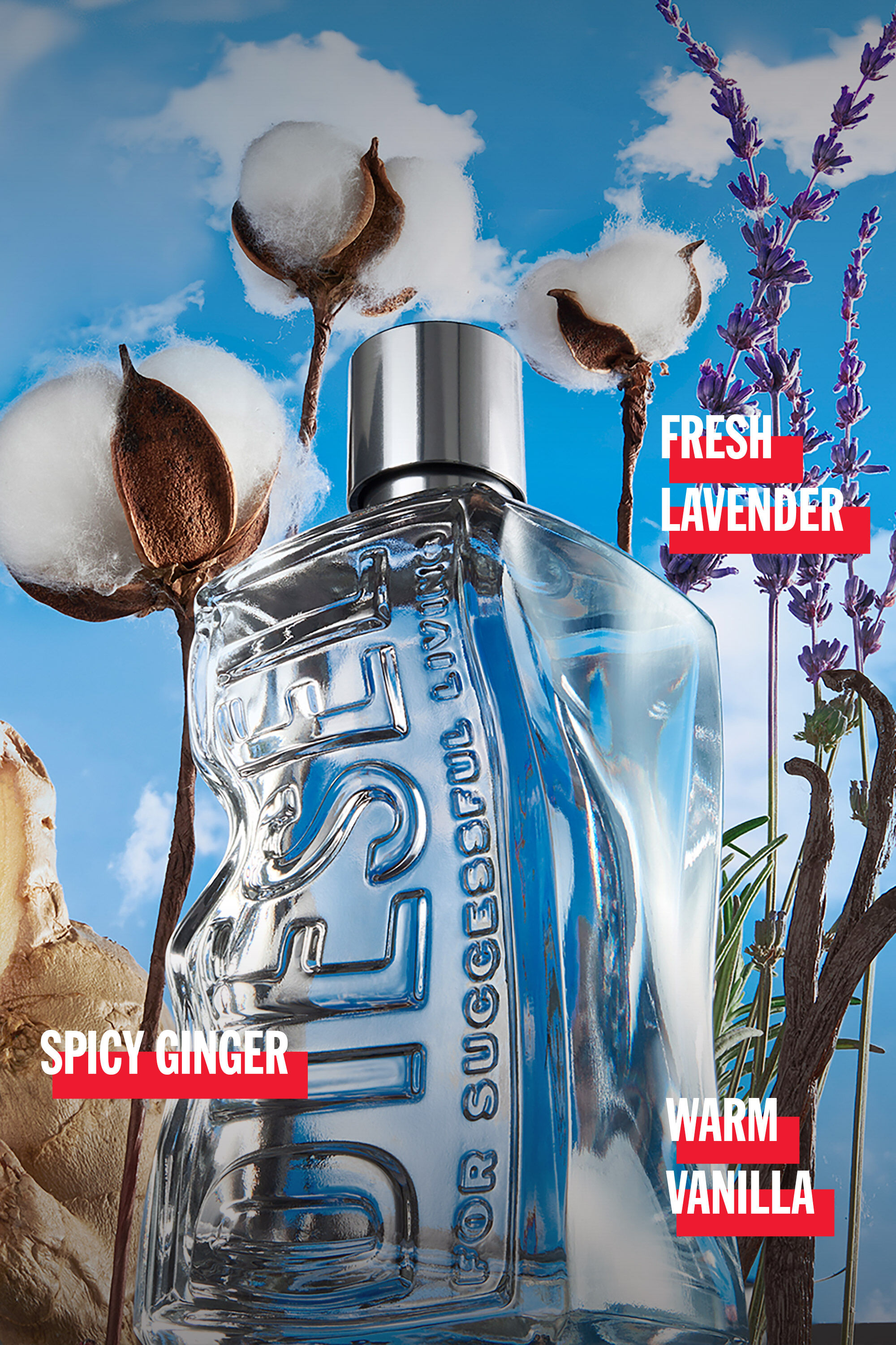 D by Diesel 50ml フレグランス｜グレー｜ウィメンズ｜DIESEL