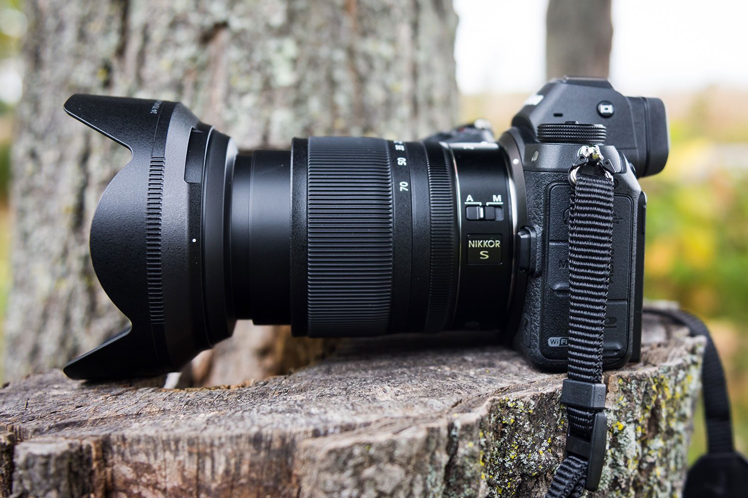 Nikon Z 24-70mm f/4 S review - Digital Trends