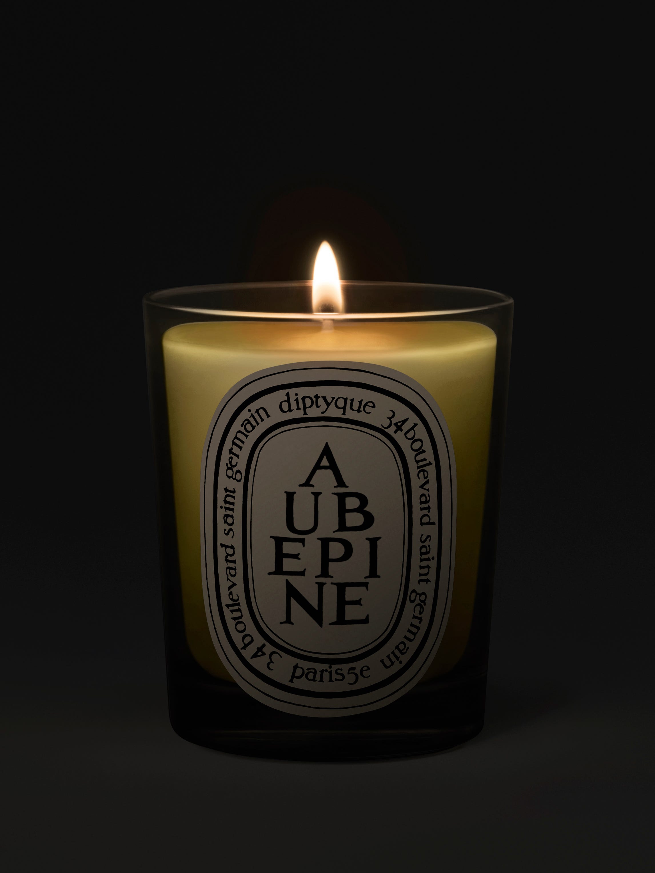 Classic Scented Candles 190g | Diptyque Paris