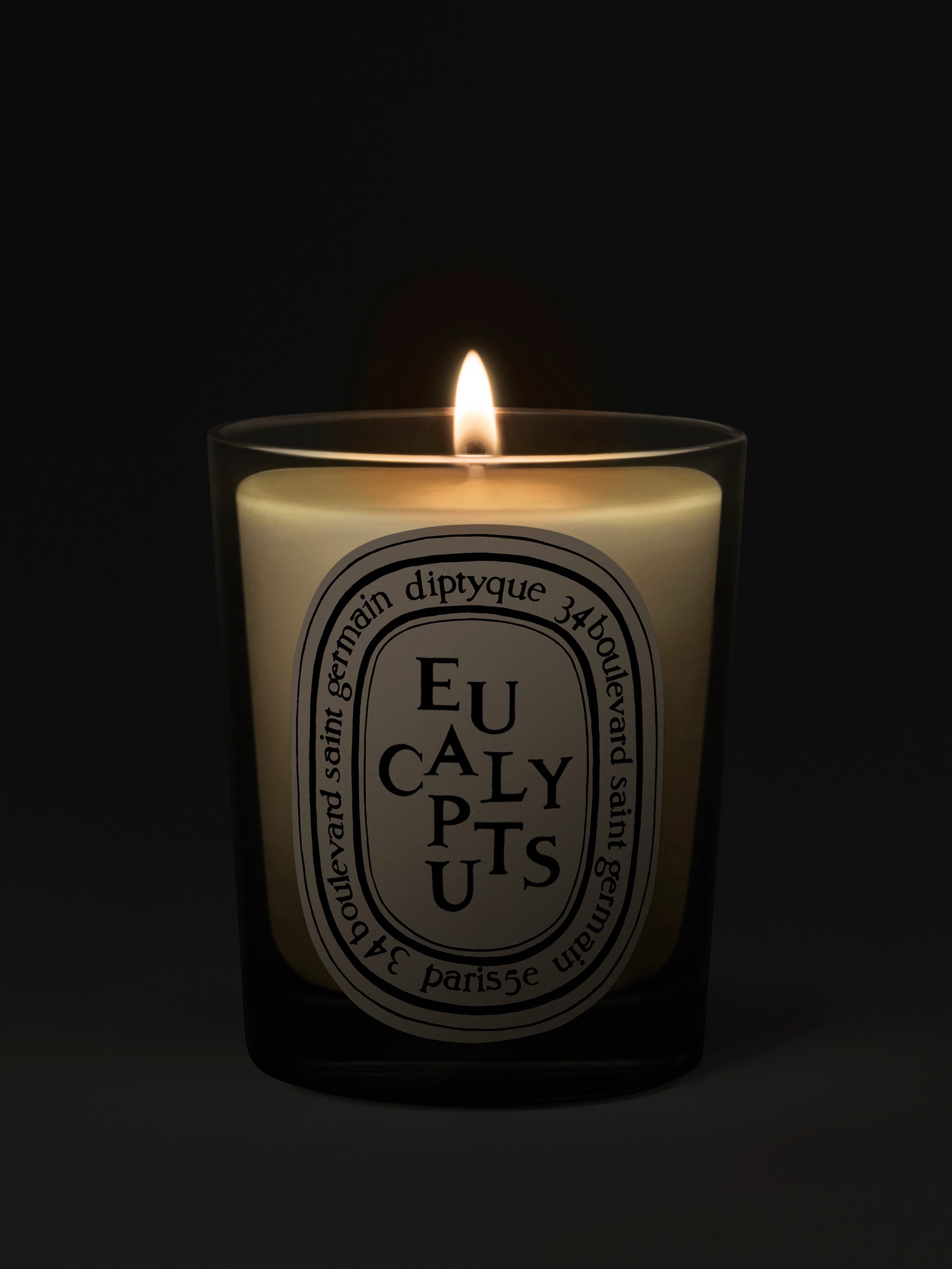 Classic Scented Candles 190g | Diptyque Paris