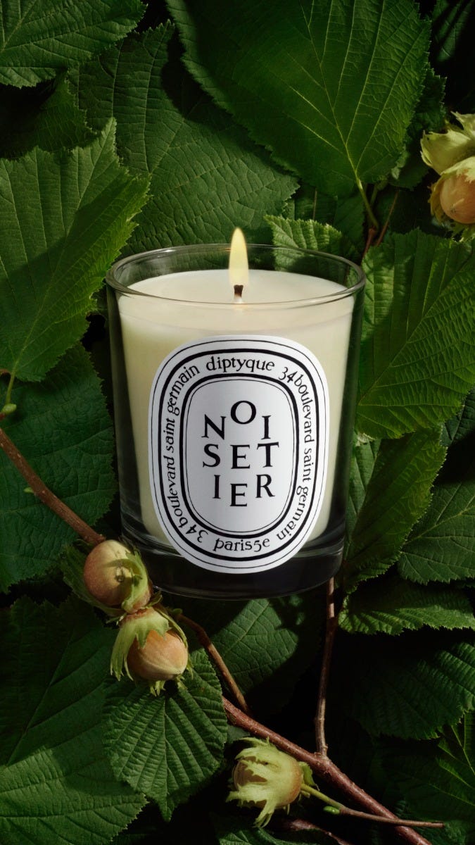 Noisetier (Hazel Tree) - Classic candle | Diptyque Paris