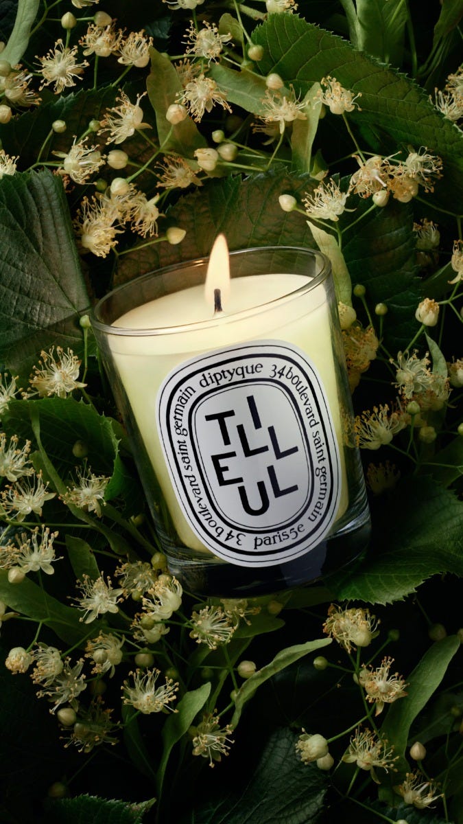 Tilleul（ティユル） - クラシックキャンドル | Diptyque Paris