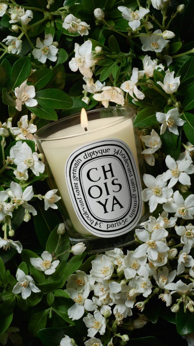 Choisya（ショワジャ） - クラシックキャンドル | Diptyque Paris