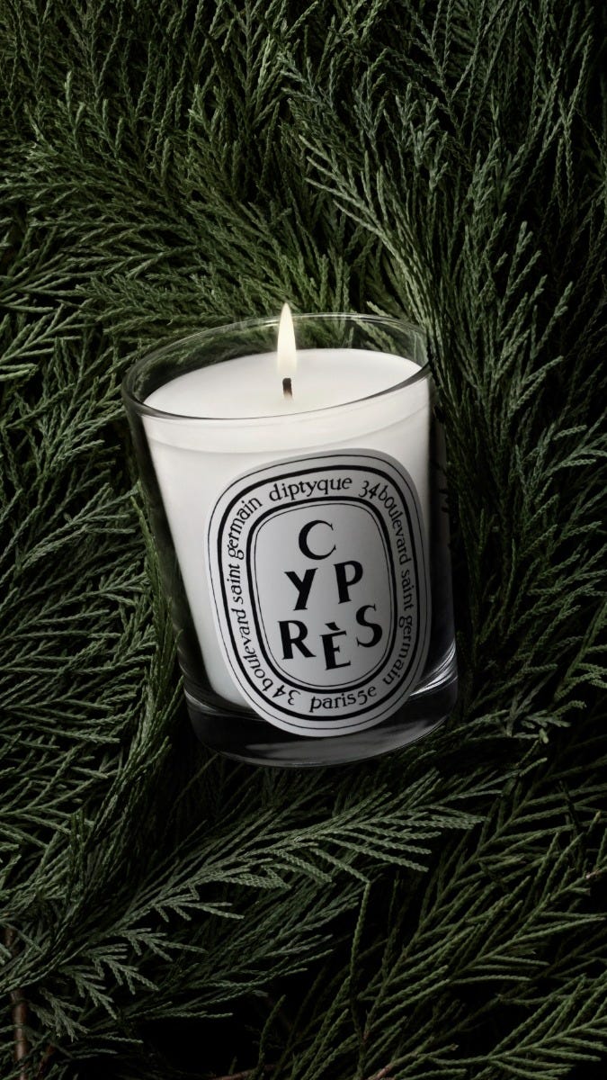 Cyprès (Cypress) - Classic candle | Diptyque Paris