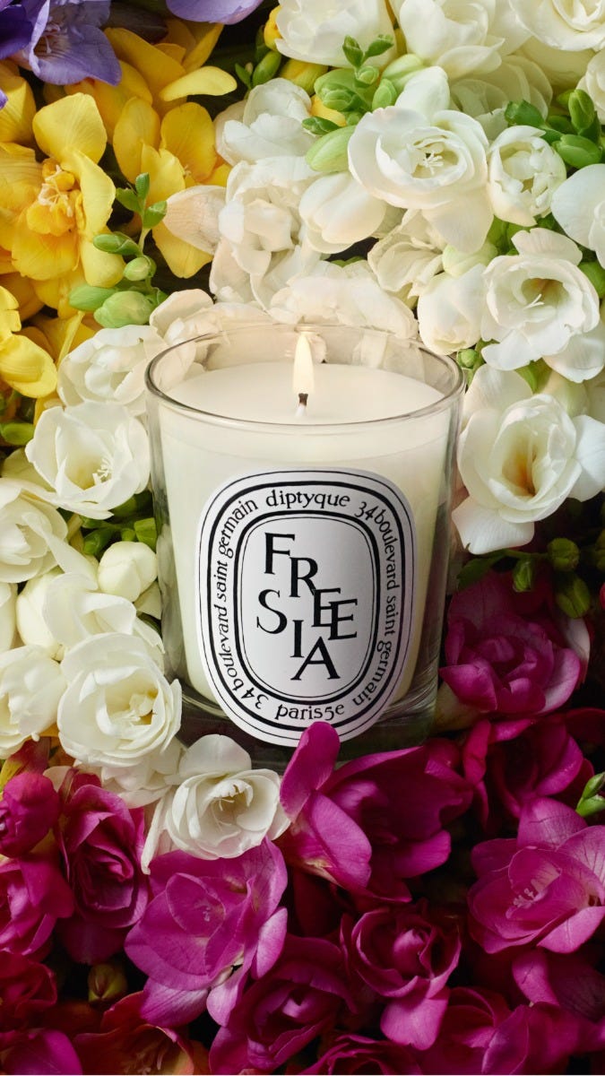 Freesia - Classic candle | Diptyque Paris